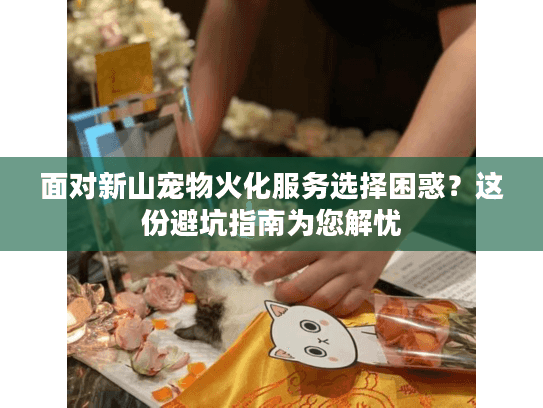 面对新山宠物火化服务选择困惑？这份避坑指南为您解忧
