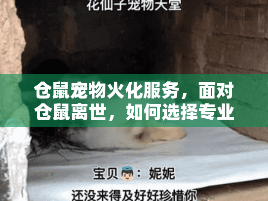 仓鼠宠物火化服务，面对仓鼠离世，如何选择专业告别？