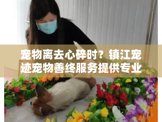 宠物离去心碎时？镇江宠迹宠物善终服务提供专业告别关怀方案