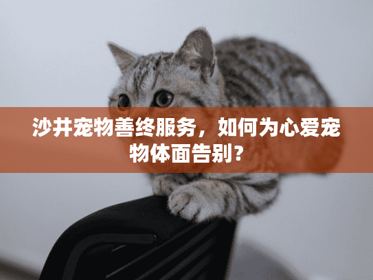 沙井宠物善终服务,如何为心爱宠物体面告别?