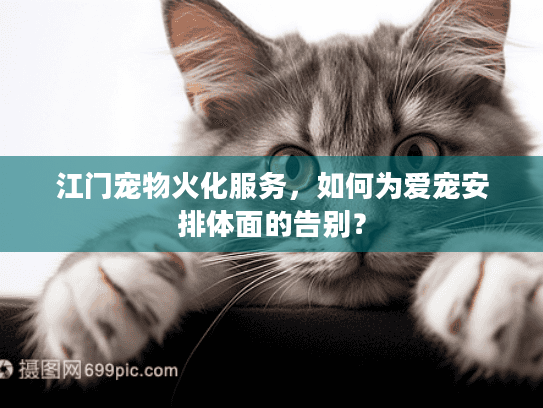 江门宠物火化服务，如何为爱宠安排体面的告别？