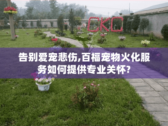 告别爱宠悲伤,百福宠物火化服务如何提供专业关怀?