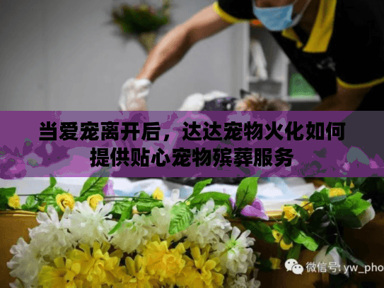 当爱宠离开后，达达宠物火化如何提供贴心宠物殡葬服务