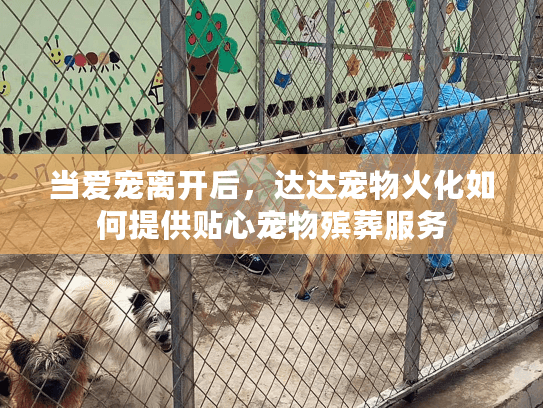 当爱宠离开后，达达宠物火化如何提供贴心宠物殡葬服务