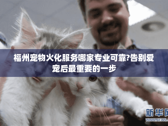 福州宠物火化服务哪家专业可靠?告别爱宠后最重要的一步
