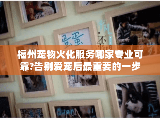 福州宠物火化服务哪家专业可靠?告别爱宠后最重要的一步