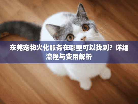 东莞宠物火化服务在哪里可以找到？详细流程与费用解析