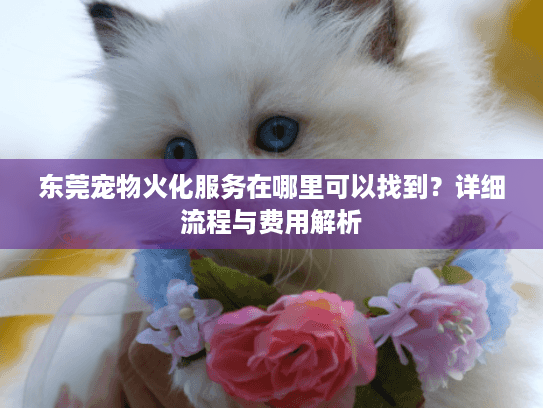 东莞宠物火化服务在哪里可以找到？详细流程与费用解析