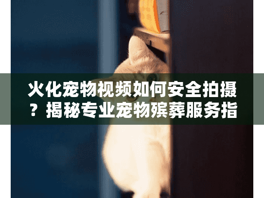 火化宠物视频如何安全拍摄？揭秘专业宠物殡葬服务指南