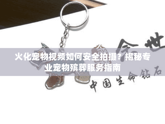 火化宠物视频如何安全拍摄？揭秘专业宠物殡葬服务指南
