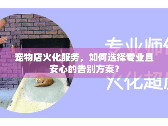 宠物店火化服务，如何选择专业且安心的告别方案？