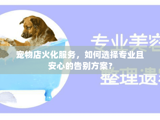 宠物店火化服务，如何选择专业且安心的告别方案？
