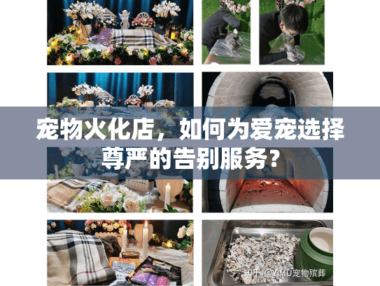 宠物火化店，如何为爱宠选择尊严的告别服务？