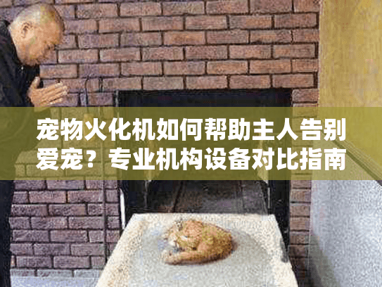宠物火化机如何帮助主人告别爱宠？专业机构设备对比指南