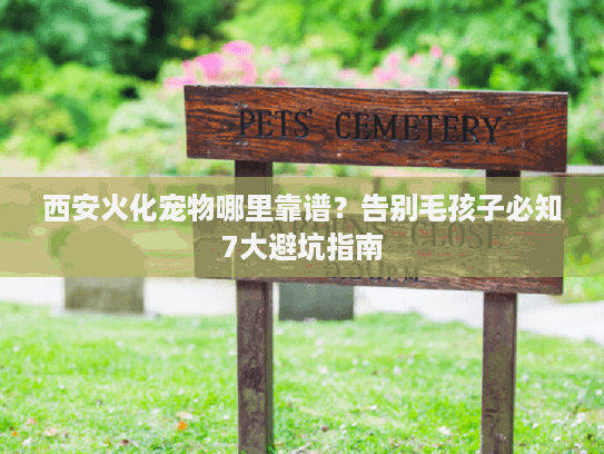 西安火化宠物哪里靠谱？告别毛孩子必知7大避坑指南