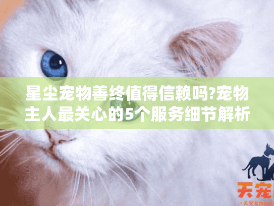 星尘宠物善终值得信赖吗?宠物主人最关心的5个服务细节解析