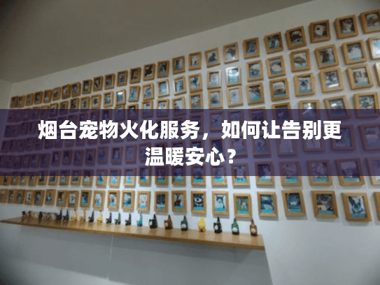 烟台宠物火化服务，如何让告别更温暖安心？