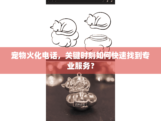 宠物火化电话，关键时刻如何快速找到专业服务？