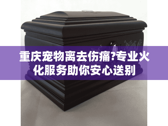 重庆宠物离去伤痛?专业火化服务助你安心送别