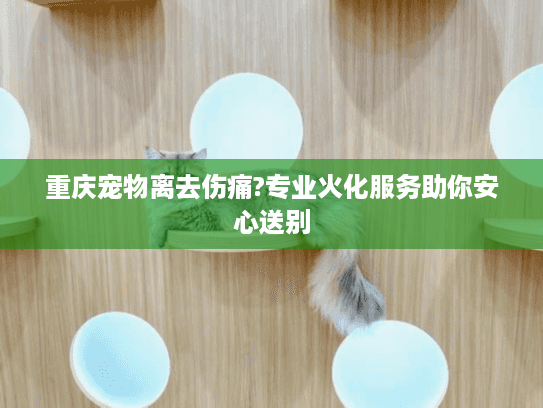 重庆宠物离去伤痛?专业火化服务助你安心送别
