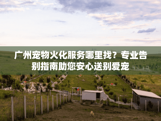 广州宠物火化服务哪里找？专业告别指南助您安心送别爱宠