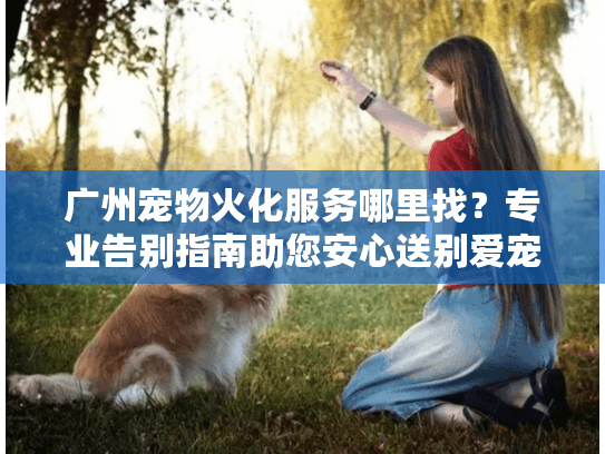广州宠物火化服务哪里找？专业告别指南助您安心送别爱宠
