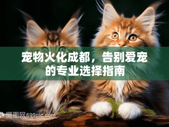 宠物火化成都，告别爱宠的专业选择指南
