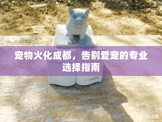 宠物火化成都，告别爱宠的专业选择指南