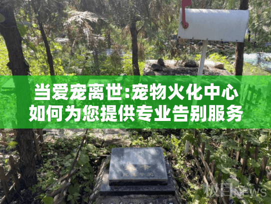 当爱宠离世:宠物火化中心如何为您提供专业告别服务?