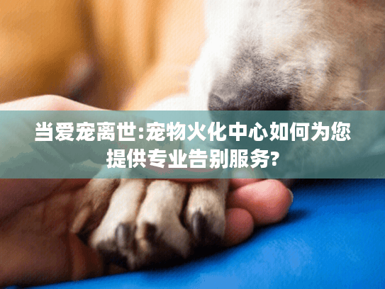 当爱宠离世:宠物火化中心如何为您提供专业告别服务?