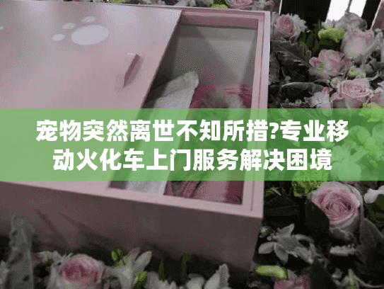 宠物突然离世不知所措?专业移动火化车上门服务解决困境