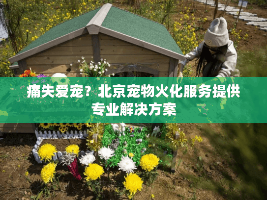 痛失爱宠？北京宠物火化服务提供专业解决方案
