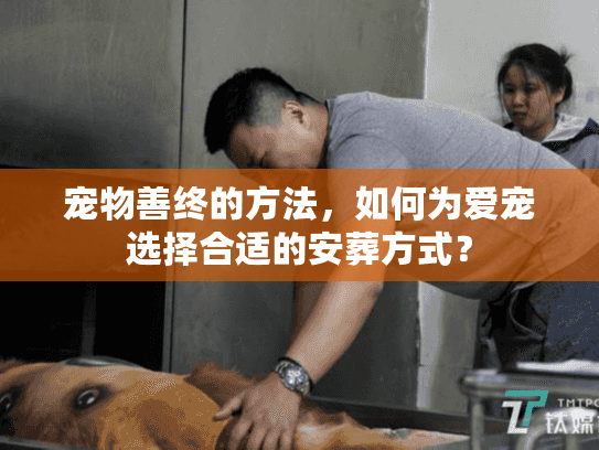 宠物善终的方法，如何为爱宠选择合适的安葬方式？