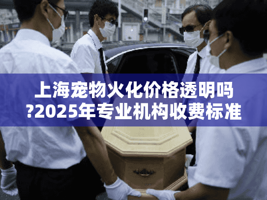 上海宠物火化价格透明吗?2025年专业机构收费标准全解