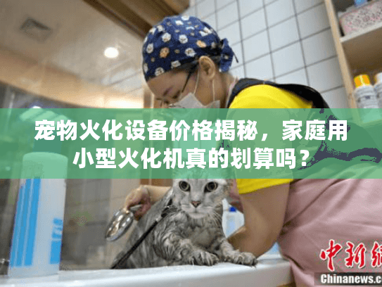 宠物火化设备价格揭秘，家庭用小型火化机真的划算吗？