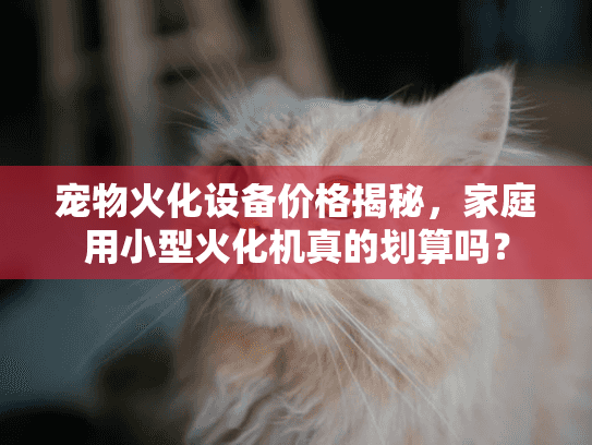 宠物火化设备价格揭秘，家庭用小型火化机真的划算吗？