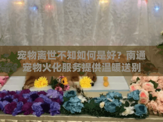 宠物离世不知如何是好？南通宠物火化服务提供温暖送别
