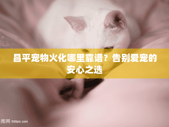 昌平宠物火化哪里靠谱？告别爱宠的安心之选