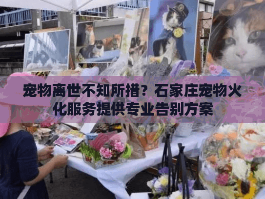 宠物离世不知所措？石家庄宠物火化服务提供专业告别方案