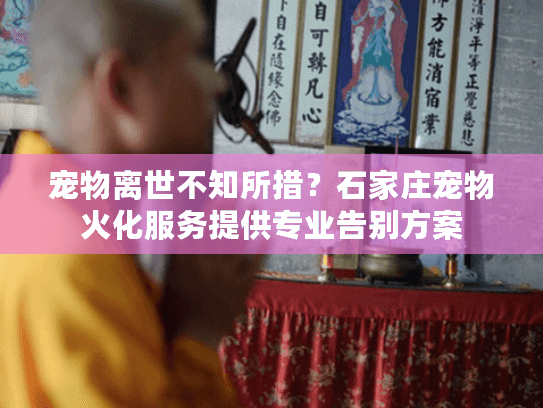 宠物离世不知所措？石家庄宠物火化服务提供专业告别方案
