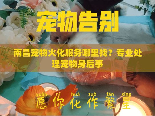 南昌宠物火化服务哪里找？专业处理宠物身后事