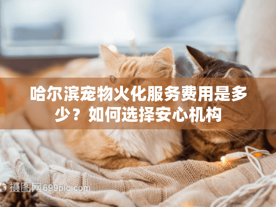 哈尔滨宠物火化服务费用是多少？如何选择安心机构
