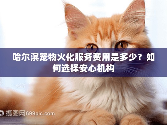 哈尔滨宠物火化服务费用是多少？如何选择安心机构