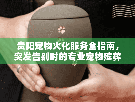贵阳宠物火化服务全指南，突发告别时的专业宠物殡葬解决方案
