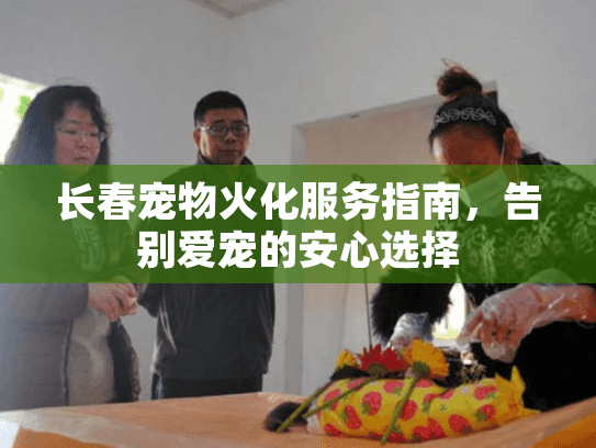 长春宠物火化服务指南，告别爱宠的安心选择