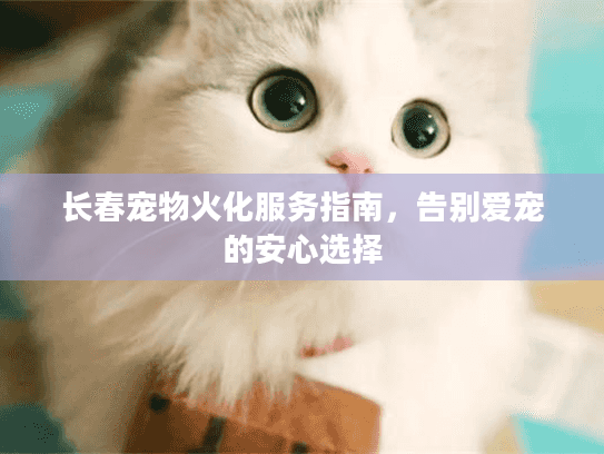 长春宠物火化服务指南，告别爱宠的安心选择