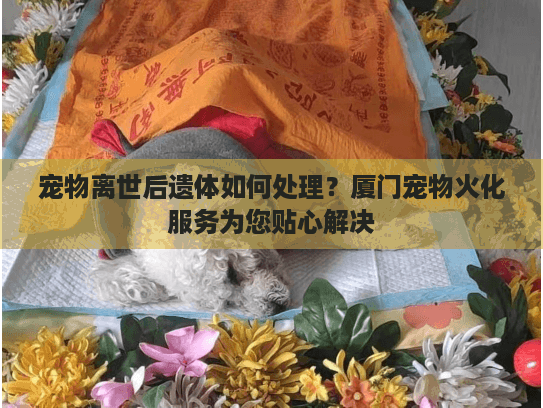宠物离世后遗体如何处理？厦门宠物火化服务为您贴心解决