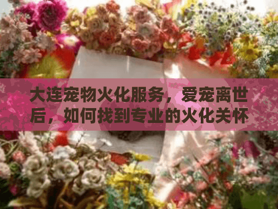 大连宠物火化服务，爱宠离世后，如何找到专业的火化关怀？
