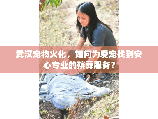 武汉宠物火化，如何为爱宠找到安心专业的殡葬服务？