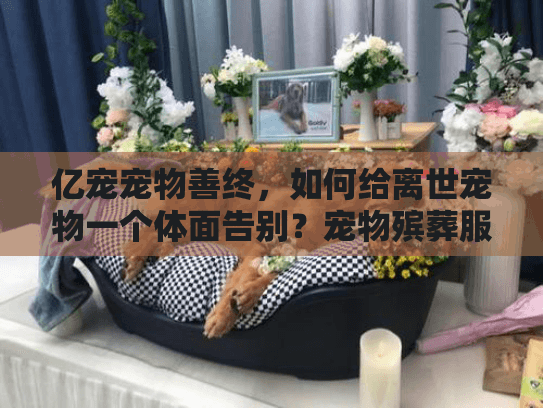 亿宠宠物善终，如何给离世宠物一个体面告别？宠物殡葬服务指南